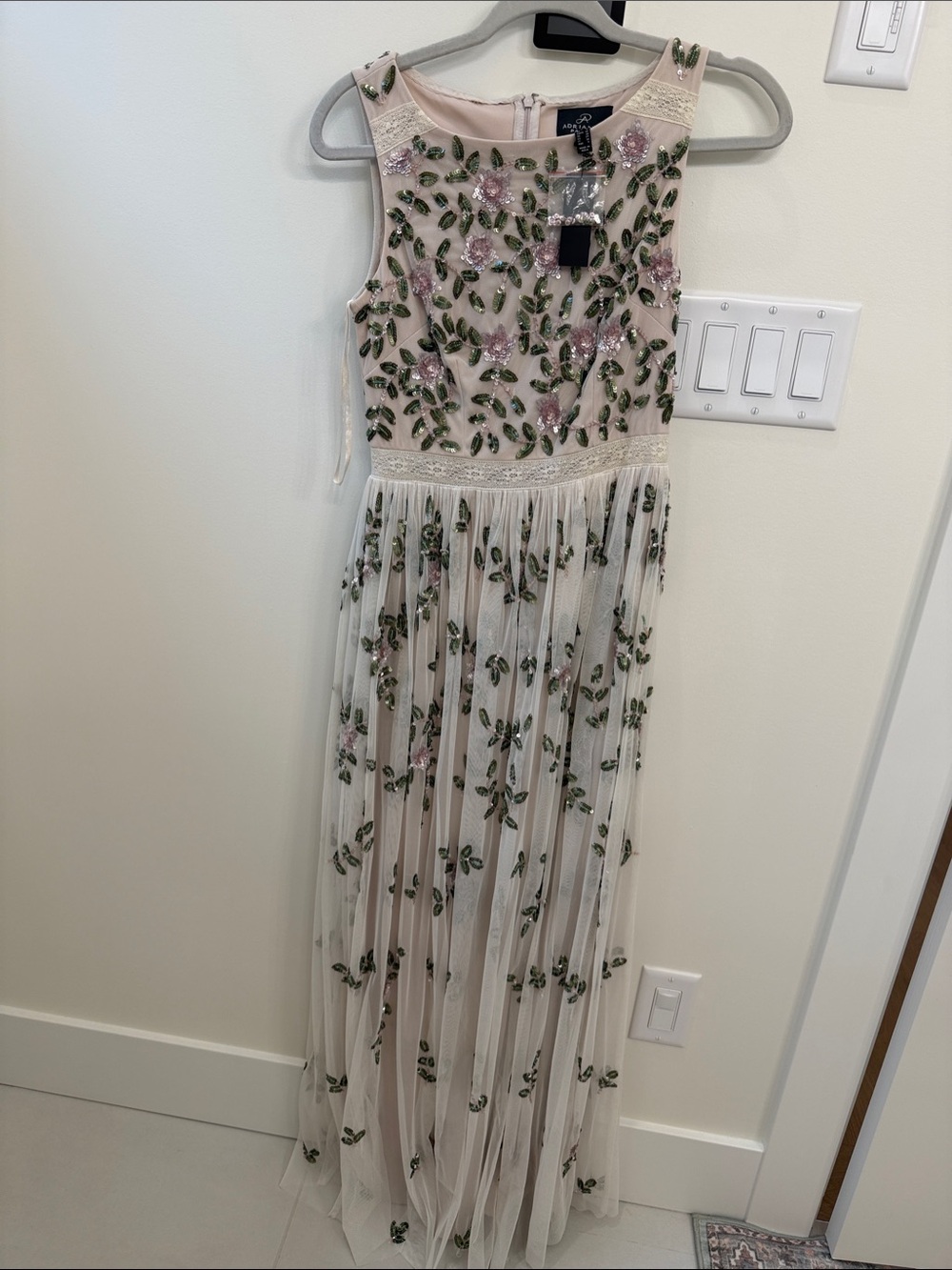 Adrianna Papell Blush Maxi Dress with Pink Floral & Green Embroidery